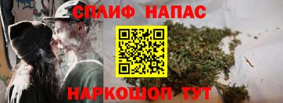 дмт Краснодар